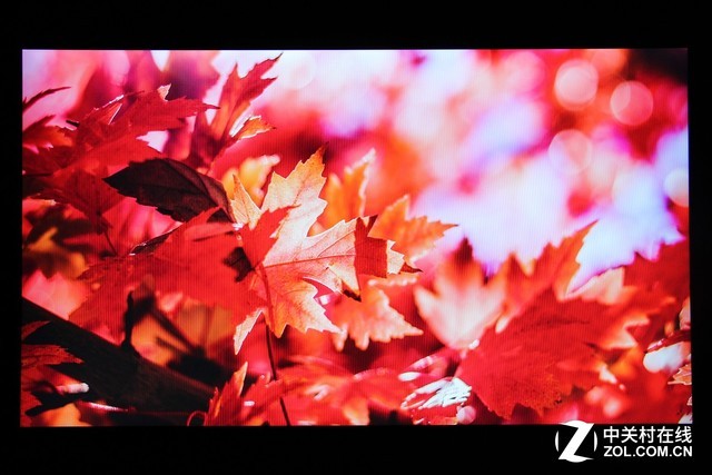 優派VP2458顯示器評測 