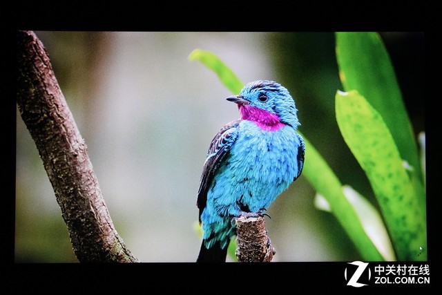 優派VP2458顯示器評測 