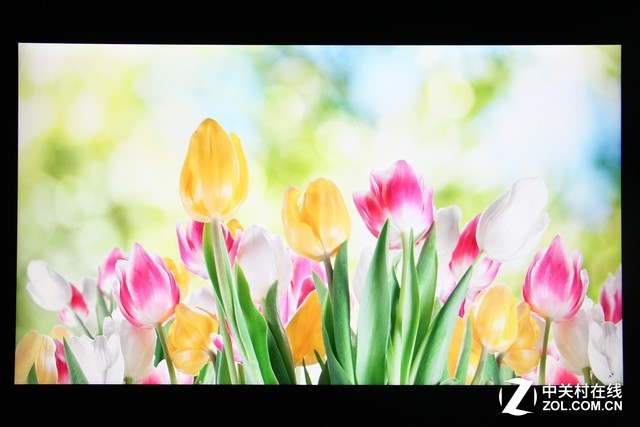 優派VP2458顯示器評測 