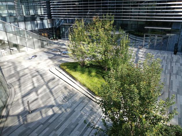 華為暢享9Plus和小米8SE哪個好？暢享9Plus和小米8SE對比區別