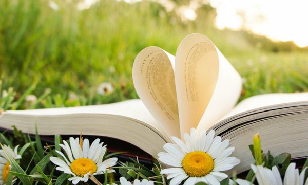 學會及時調整自己的心態：我們能改變的只有自己