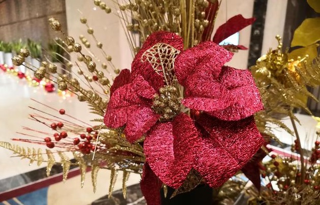 華為Nova4拍照效果怎么樣?華為Nova4的拍照樣張測試