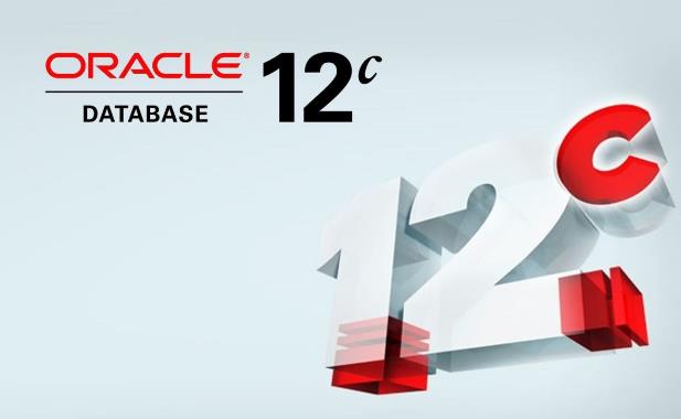 Oracle數據庫多條sql執行語句出現錯誤時的控制方式