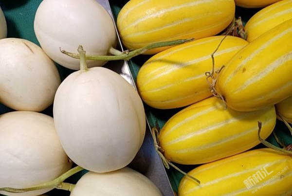 OPPO A9拍照效果怎么樣 OPPO A9拍照樣張實測體驗