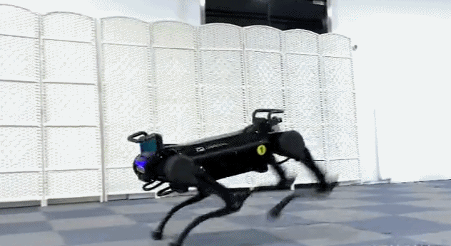 浙大新一代“絕影”機器狗來了：會鉆火圈 跳躍頂球