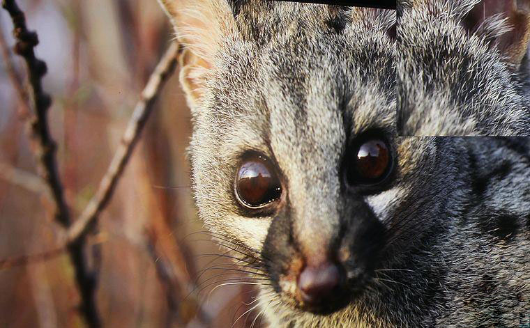 號稱百米無衰減究竟怎么樣?開博爾光纖HDMI線剖析評測