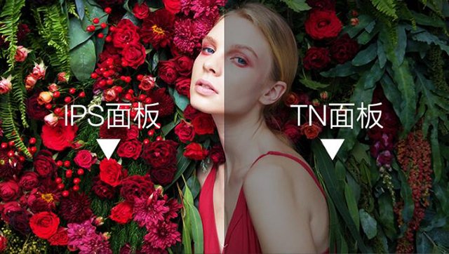 筆記本電腦如何選購呢?筆記本電腦知識、選購技巧全攻略指南