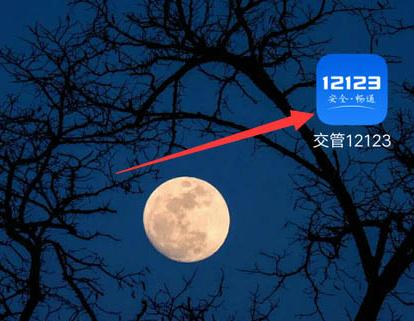 交管12123檢驗合格標志電子版在哪里查看？