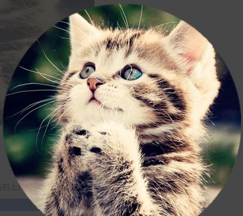 美圖秀秀怎么摳圖？美圖秀秀對圖片進行圓形摳圖的教程